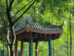 -龙头寺公园