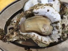 -蚝专家(北滘店)