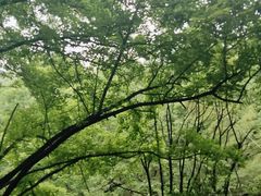 -石燕湖生态旅游景区
