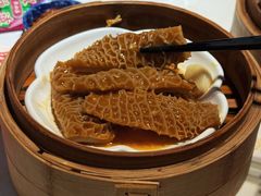 -点都德·毕德寮