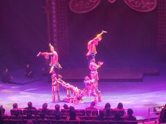 -珠海横琴长隆《卡卡虎奇遇记》