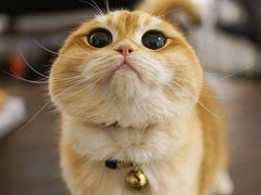 -百信宠物医院(东升街店)