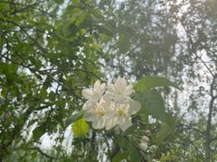-仁和公园(顺义区)