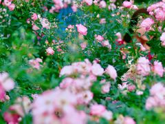 -人民公园(罗湖区)