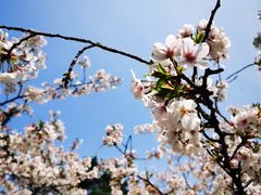 -湘中缘·湖南菜(娄底驻京办店)