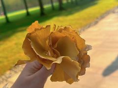 -金沙遗址博物馆