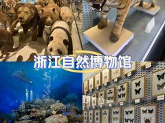-浙江自然博物院(杭州馆)