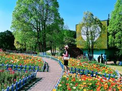 -铁山坪森林公园