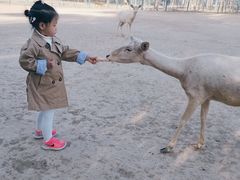 -北京麋鹿生态实验中心