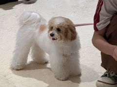 -龙湖重庆时代天街