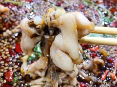 -渔香岛美蛙鱼头火锅(威清路店)
