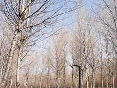 -东郊湿地公园