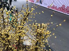 -胖大娘面馆(较场坝街店)