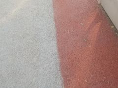 -丁香湖公园