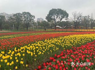 再往里走是大片的花可以观赏，里面有运动场，有船