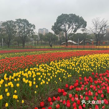 再往里走是大片的花可以观赏，里面有运动场，有船