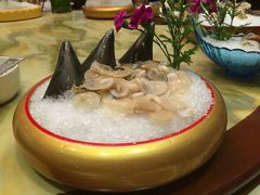 -渔傅·蓝海岸霞浦海鲜(正祥店)