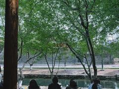 -春风习习