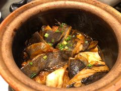 -甄御•海鲜新青岛菜(麦岛店)