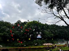 -广州长隆飞鸟乐园