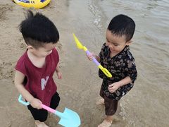 -碧海金沙