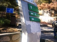 -北京鹫峰国家森林公园
