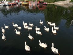 -西安汉城湖景区