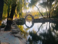 -圆明园停车场