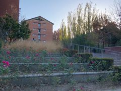 -清华大学-清芬园