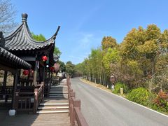 -游子山休闲旅游区