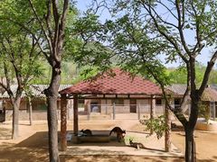 -石家庄市动物园