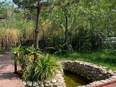 -潭柘厚院&山顶烤肉(潭柘寺店)