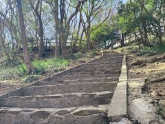 -上海佘山国家森林公园天马山园