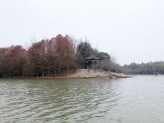 -上海海湾国家森林公园