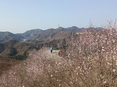 -龙泉峪长城