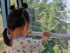 -铁山坪森林公园