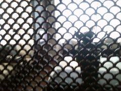 P100827_092517-上海璞麗酒店