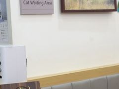 -美联众合动物医院·24h转诊中心