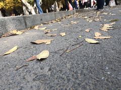 -辽宁大学(崇山校区)
