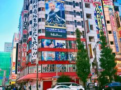-秋叶原电器街