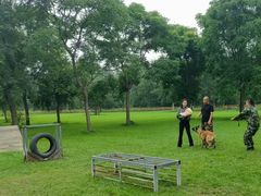 -北京京卫宠物寄养训练中心