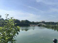 -人民公园(黄骅市)