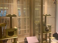 -猫腻·猫咖·撸猫馆(星光大道店)