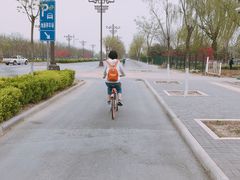 -北京麋鹿生态实验中心