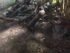 -上海大自然野生昆虫馆(东方明珠·爬宠昆虫探索中心)