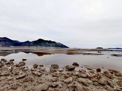-北岐滩涂