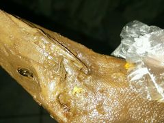 -张鸭子重庆特产卤味小吃(未来国际店)