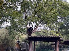 -宁波野生动物园