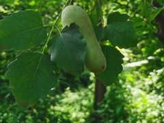 -青龙山生态文化旅游区