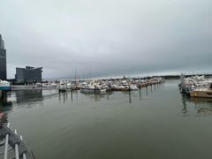 -日照世帆赛基地